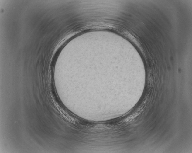 X0000060550787200512011615