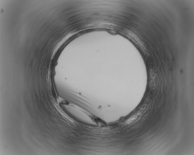 X0000060550788200512011615