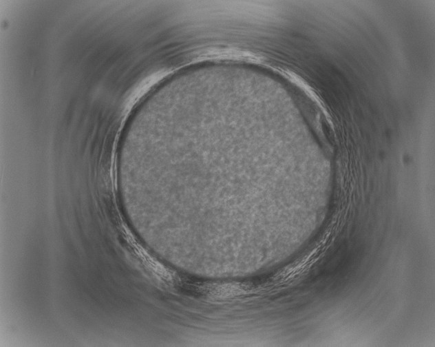 X0000060550791200512011615