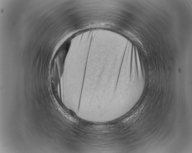 X0000060550792200512011615