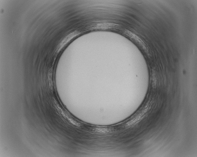 X0000060550794200512011615