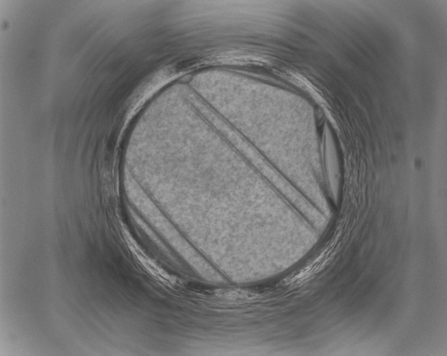 X0000060550795200512011615