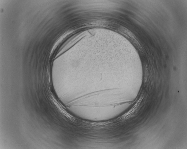 X0000060550796200512011615