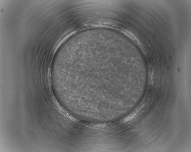 X0000060550798200512011615