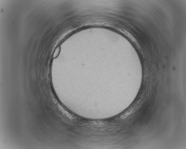 X0000060550799200512011615