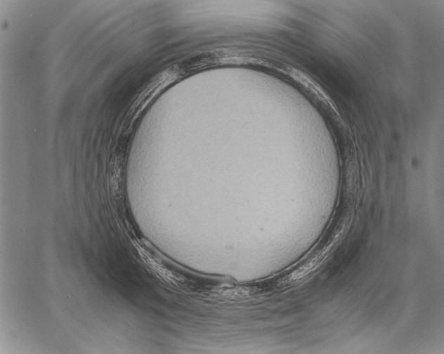 X0000060550801200512011615