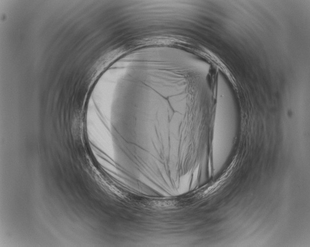 X0000060550802200512011615