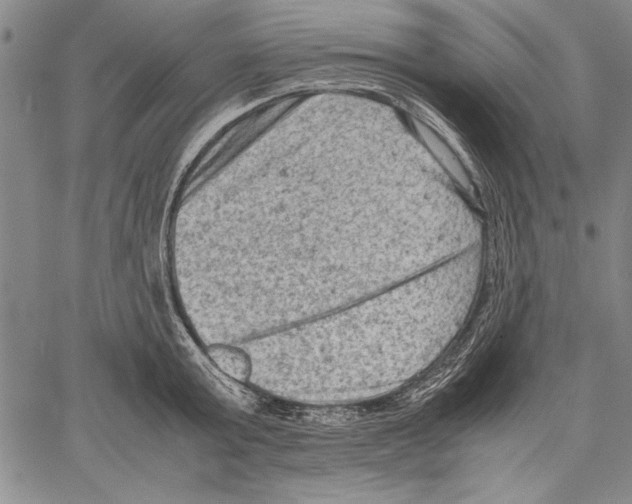 X0000060550803200512011615