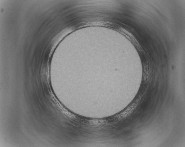 X0000060550804200512011615