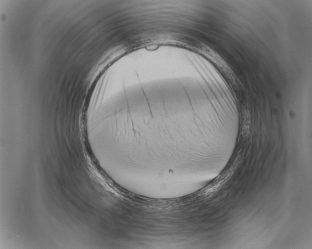 X0000060550806200512011615