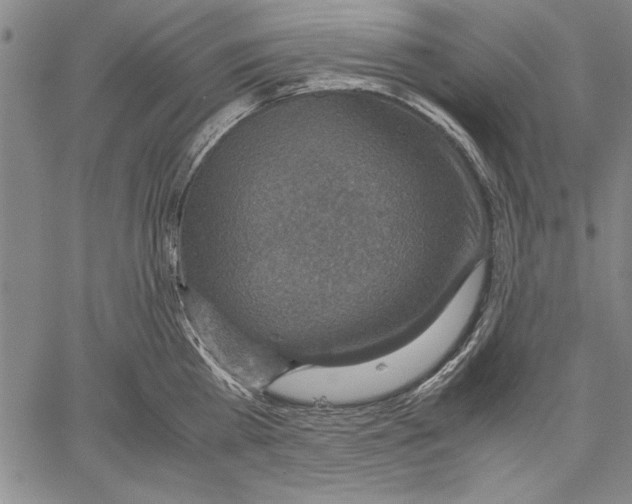 X0000060550809200512011615