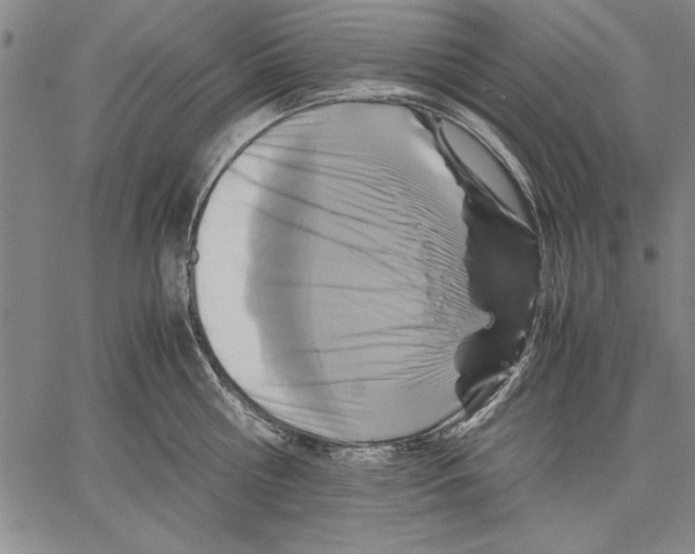 X0000060550810200512011615