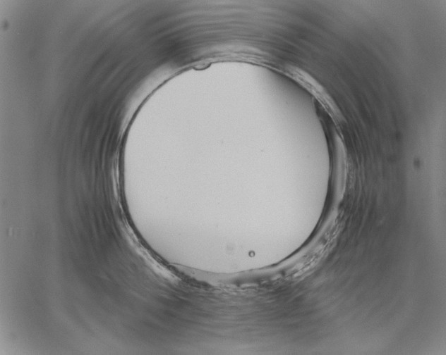 X0000060550812200512011615