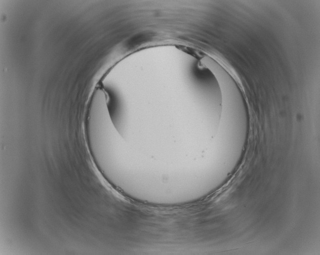 X0000060550813200512011615