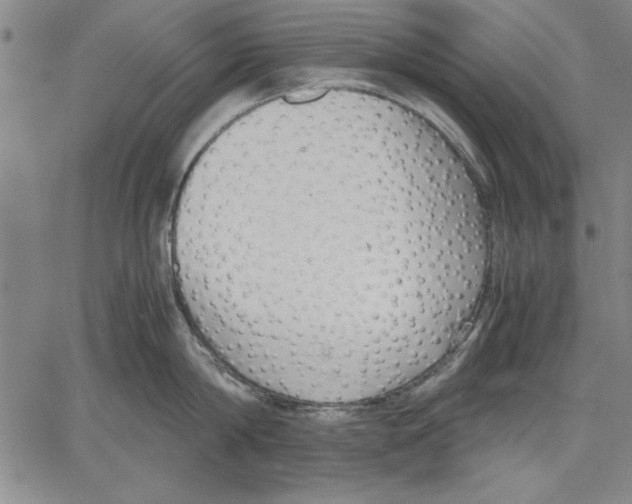 X0000060550814200512011615