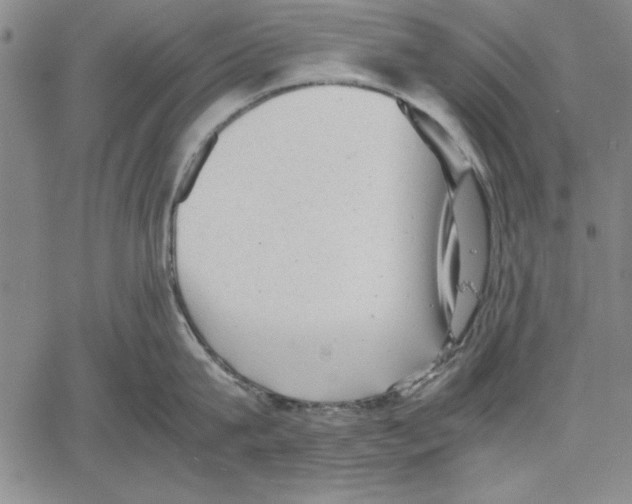 X0000060550815200512011615