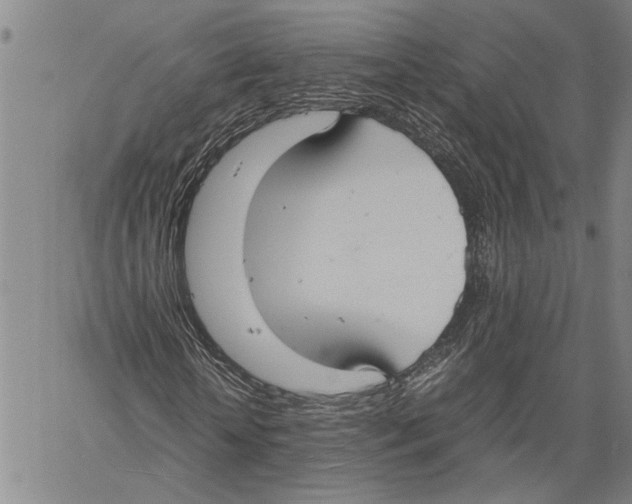 X0000060550818200512011614