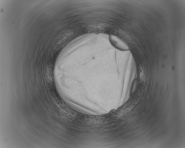 X0000060550819200512011614