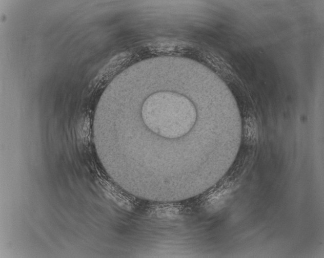 X0000060550820200512011614