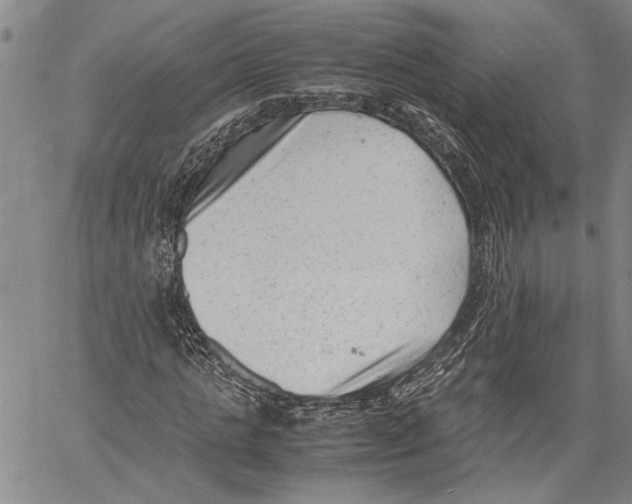 X0000060550821200512011614