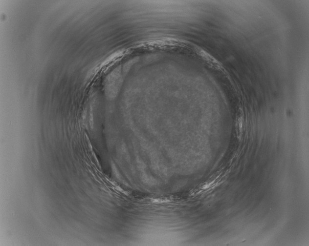 X0000060550822200512011614