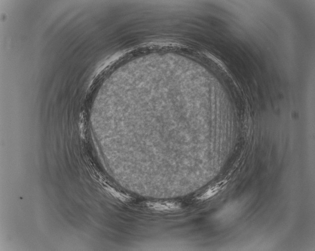 X0000060550823200512011614