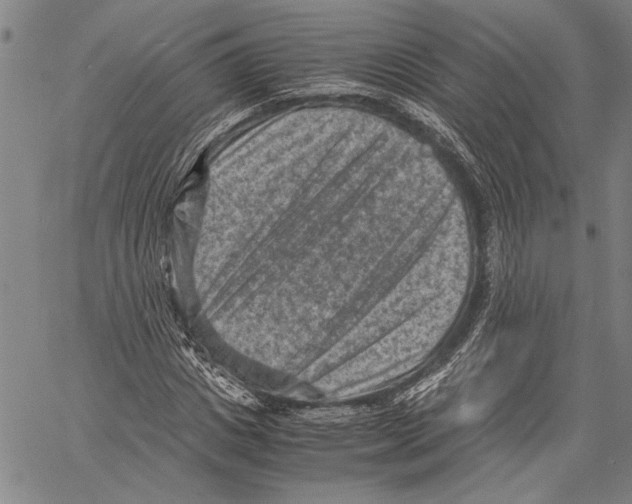 X0000060550825200512011614