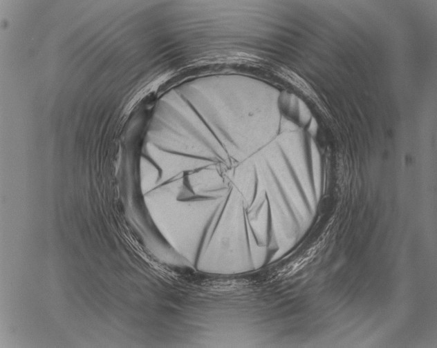 X0000060550826200512011614