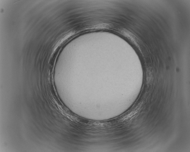 X0000060550827200512011614