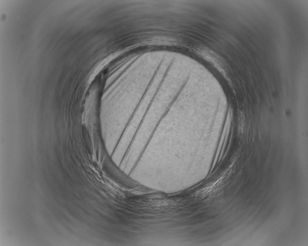 X0000060550829200512011614