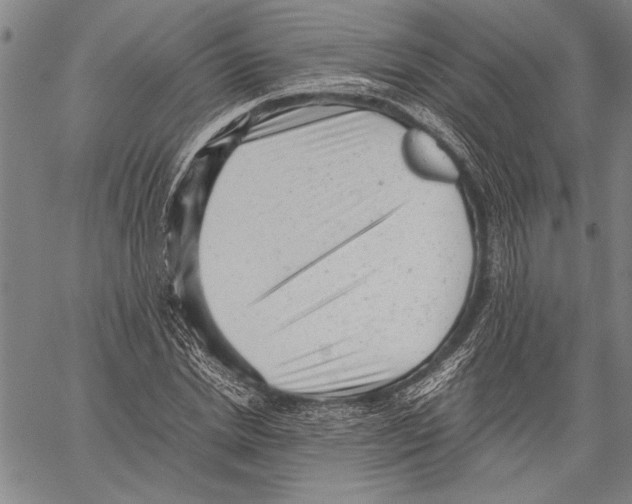 X0000060550830200512011614