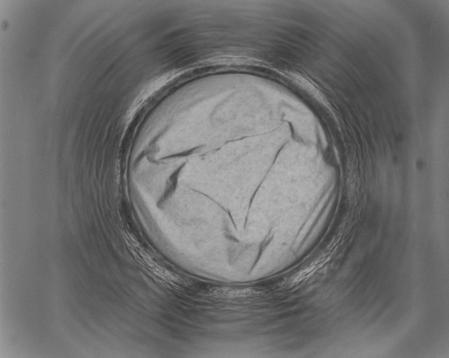 X0000060550831200512011614