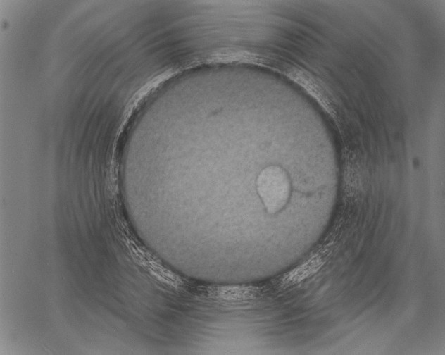 X0000060550832200512011614