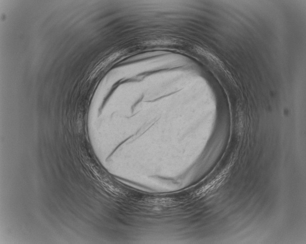 X0000060550833200512011614