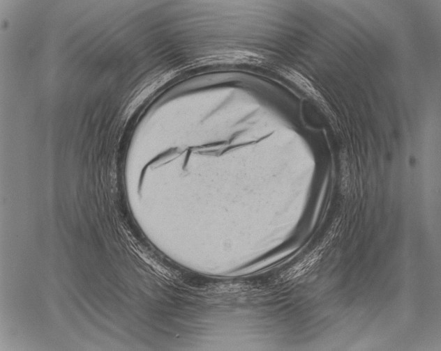 X0000060550834200512011614