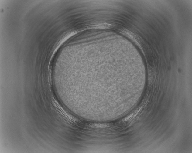 X0000060550835200512011614