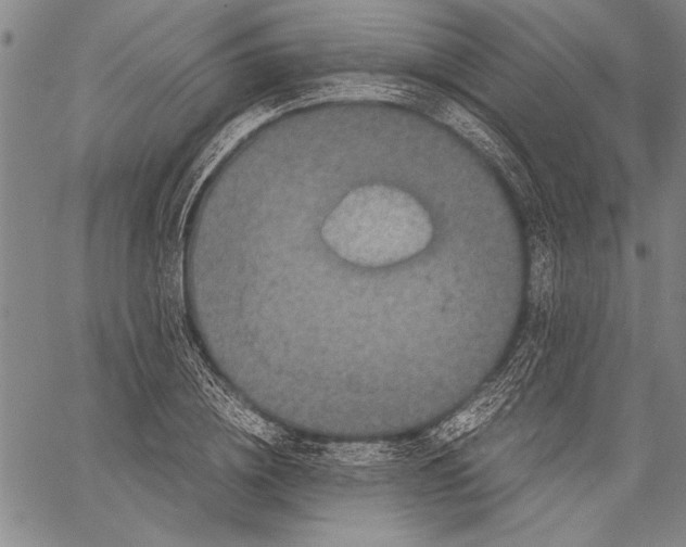 X0000060550836200512011614