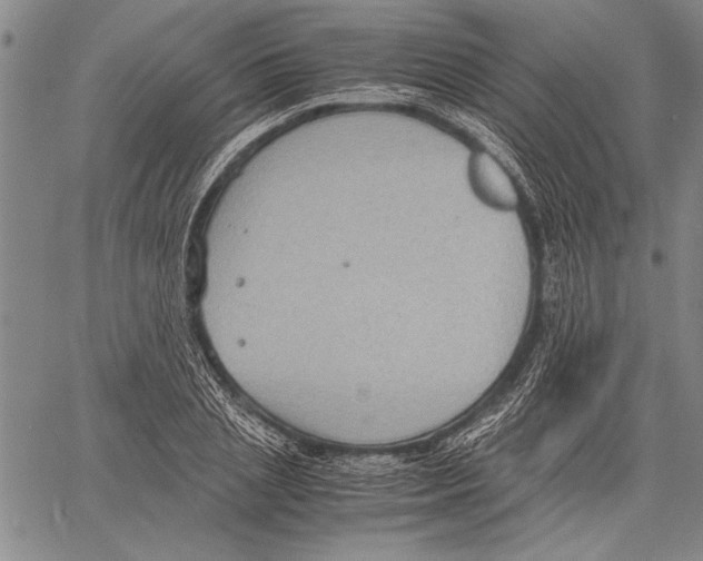 X0000060550837200512011614