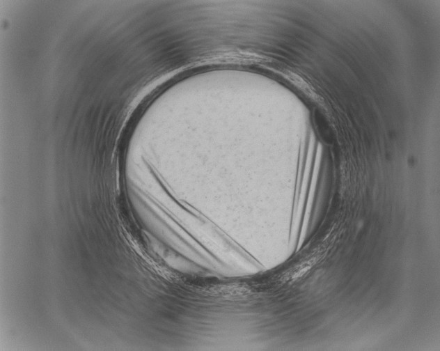 X0000060550838200512011614