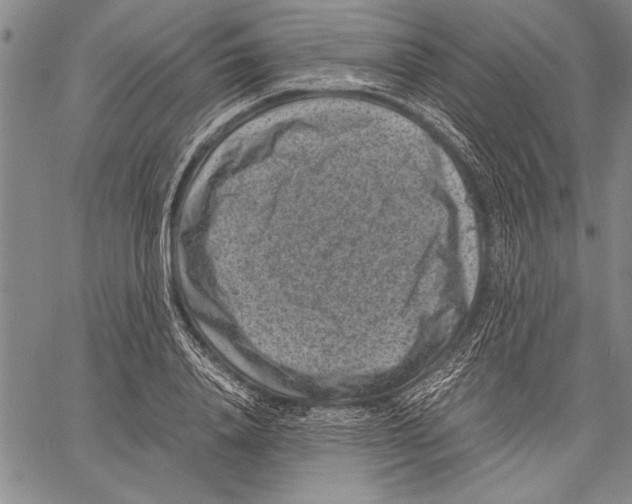 X0000060550840200512011614