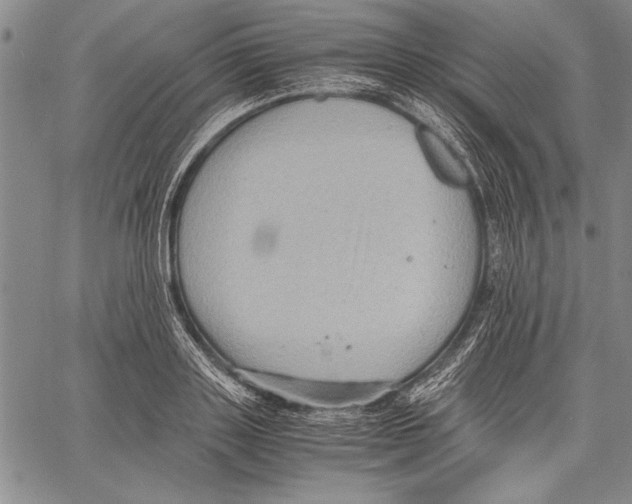 X0000060550843200512011614