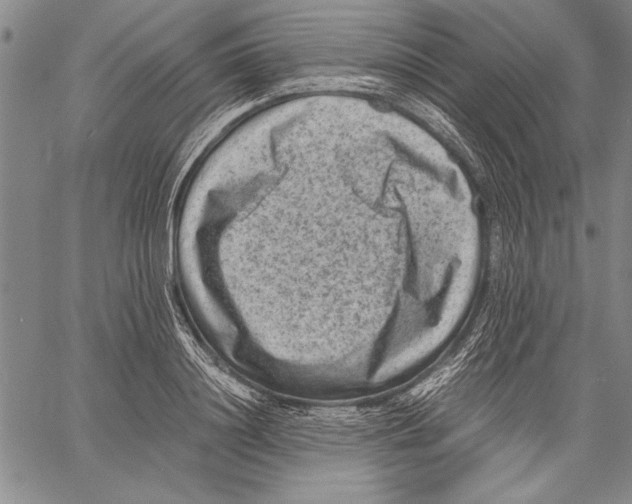 X0000060550844200512011614