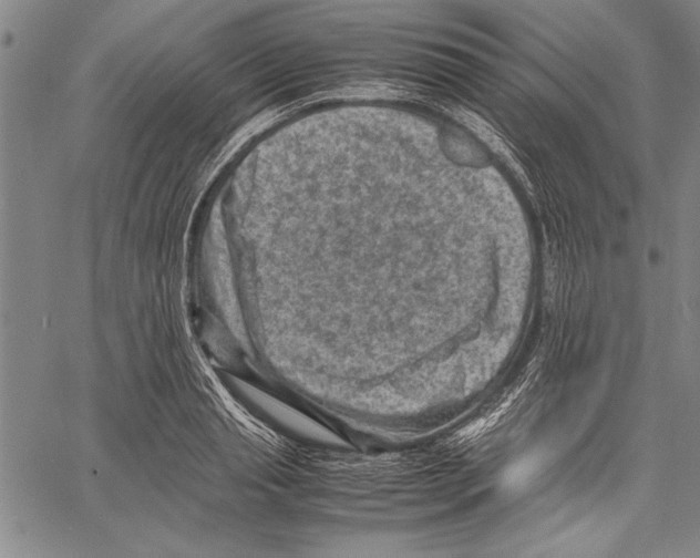 X0000060550845200512011614