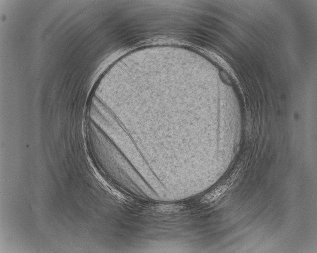 X0000060550847200512011614