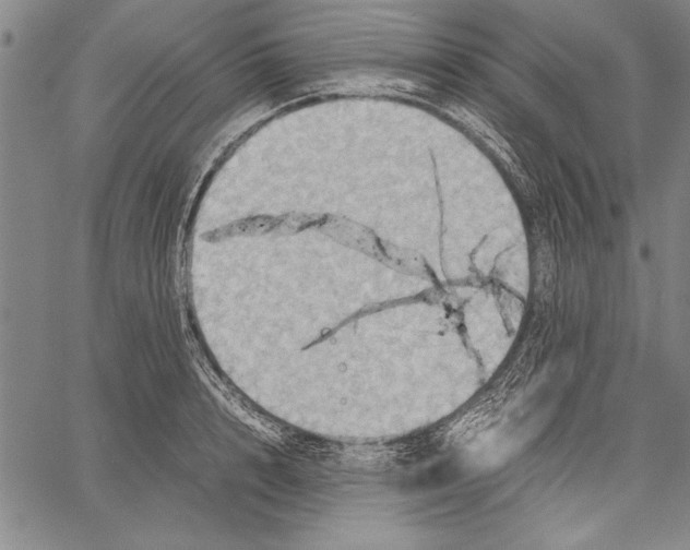 X0000060550848200512011614