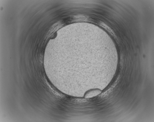 X0000060550849200512011614