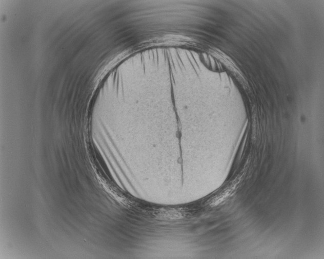 X0000060550850200512011614