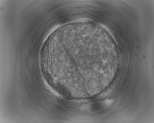 X0000060550851200512011614