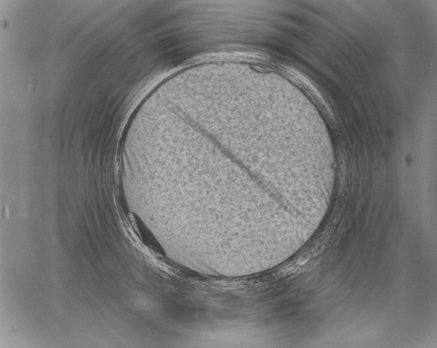 X0000060550852200512011614