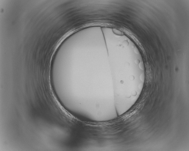 X0000060550853200512011614